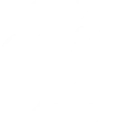 cctv (14)