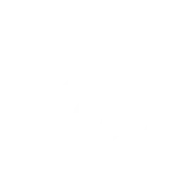 cctv (10)