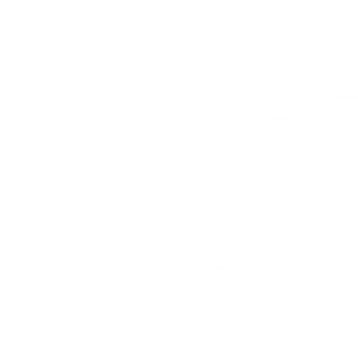 video-camera