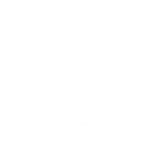 cctv (11)