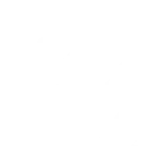 cctv (12)