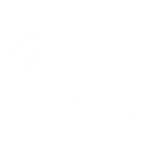 fingerprint
