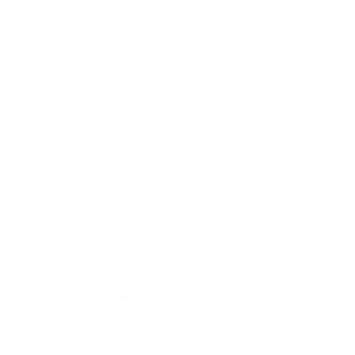 smart-door